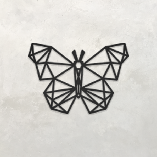geometry butterfly